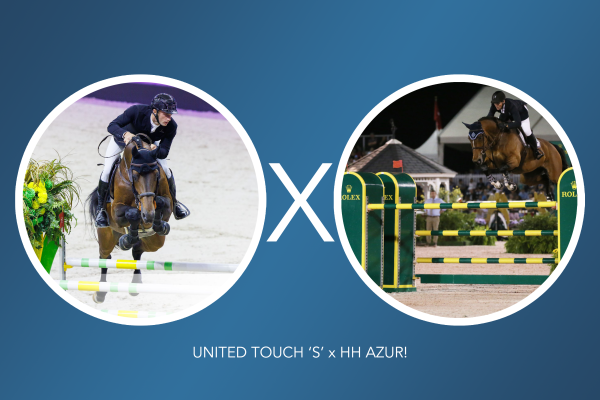 Image of embryo (United Touch x HH Azur)