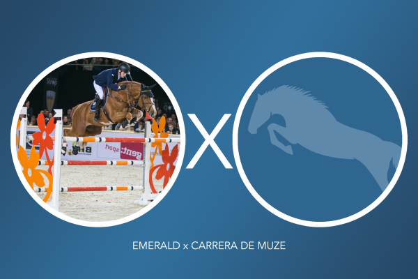 Image of embryo (emerald x carrera de muze)