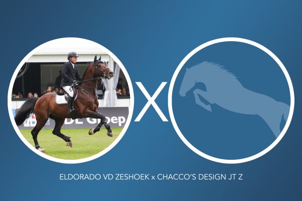 Image of embryo (eldorado vd zeshoek x chacco's design JT Z)