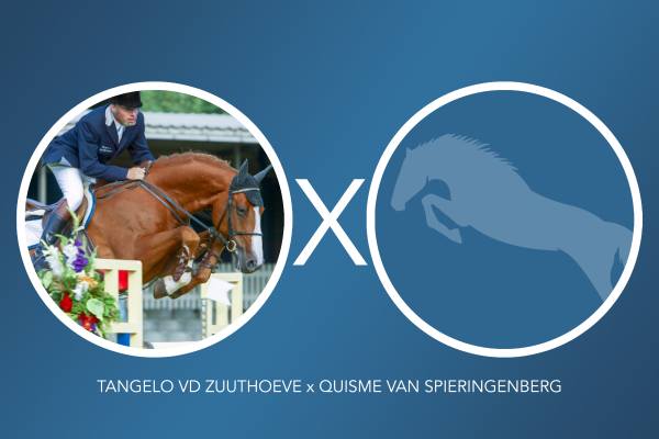 Image of embryo (tangelo vd zuuthoeve x quisme)