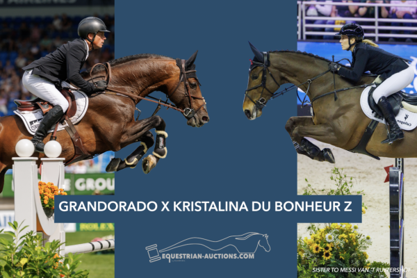 Image of embryo Kristalina Du Bonheur Z X Grandorado