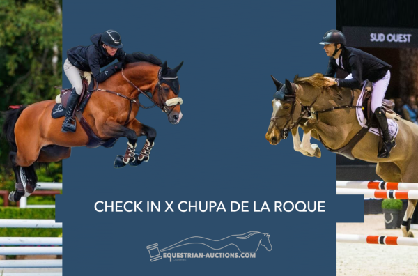 Image of Embryo (Check in x Chupa De La Roque Z)