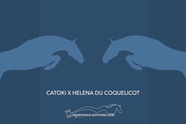 Image of Embryo (Catoki x Helena du Coquelicot)