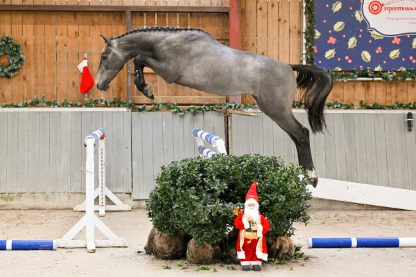 Image of Carlensky vh Beeckhof z