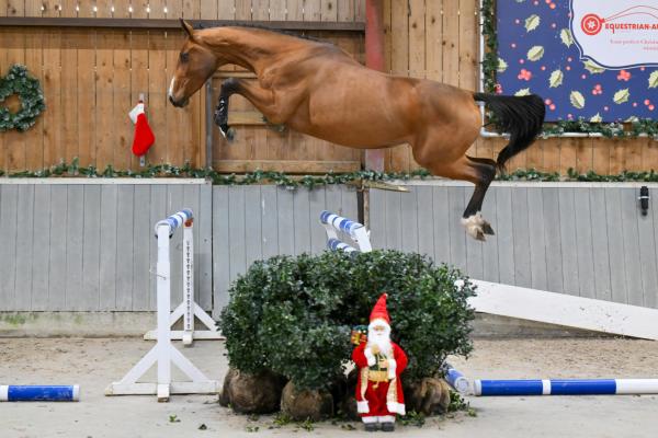 Image of Dorothee Vh Beeckhof