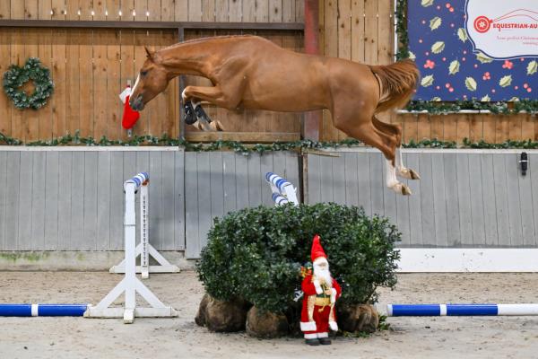 Image of Ecklestone TAG Z