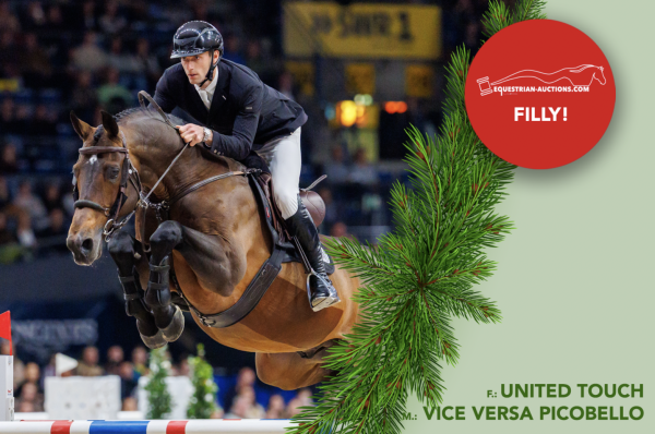 Image of Embryo (United Touch S x Vice versa picobello z)