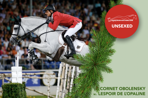 Image of Embryo (Cornet Obolensky x lespoir d'opaline vd caatshoeve)