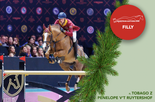 Image of Embryo (Scuderia 1918 tobago z x Penelope Van 'T Ruytershof)