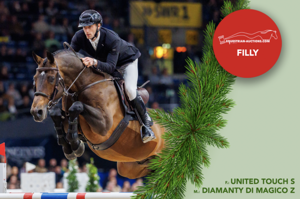 Image of Embryo (United Touch S x Diamanty Di Magico Z)